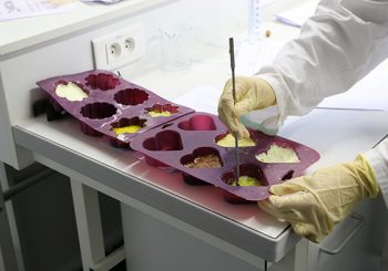 CORDÉE DES SCIENCES : DERNIÈRE SÉANCE DE L’ANNÉE