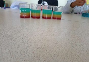 MÉDIATION SCIENTIFIQUE EN PRIMAIRE