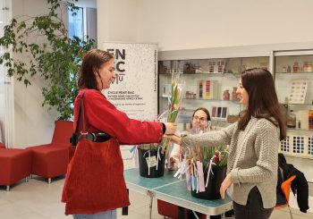 DES TULIPES POUR LA ST VALENTIN